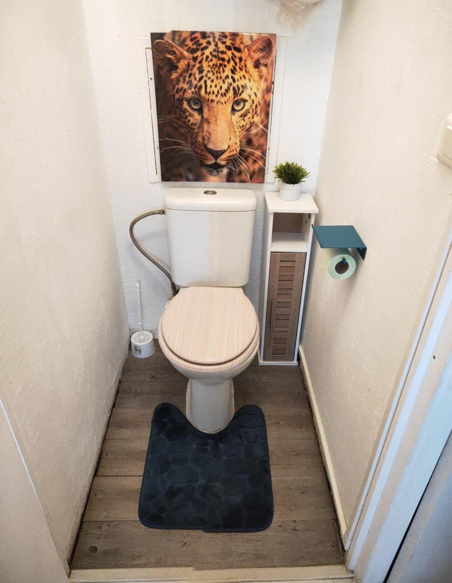 La Perle Marine, Cosy Et Renove, 200 M De La Plage, 1 Chambre, Parking Et Wifi Sète Zewnętrze zdjęcie